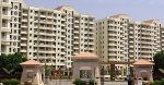Global realty investors may currently focus on metros: Experts